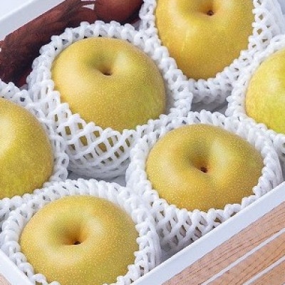 季節の朝倉の梨はじめました。約2.5kg(2-9玉)