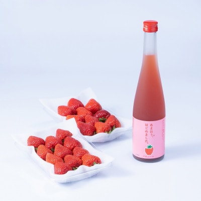 【春】あまおうはじめました。(あまおう2パック&あまおう梅酒)(朝倉市)
