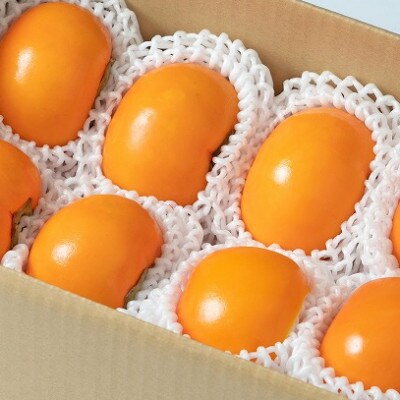 朝倉産柿(果物)旬の柿はじめました。(8-10玉・約2.5kg箱)(朝倉市)