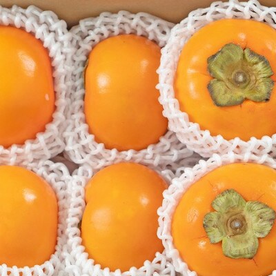 朝倉産柿(果物)旬の柿はじめました。(16-20玉・約5kg箱)(朝倉市)