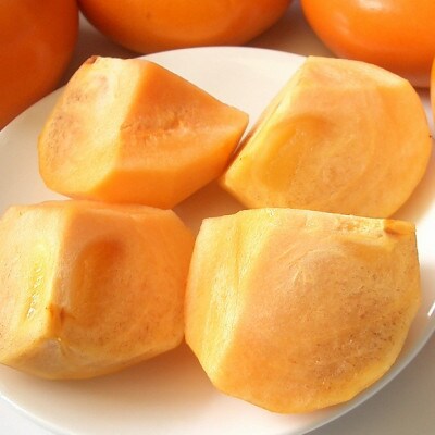 朝倉産柿(果物)旬の柿はじめました。(16-20玉・約5kg箱)(朝倉市)