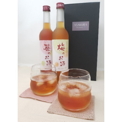 濃いめのお酒　飲み比べ500ml×2本セット(苺のお酒/梅のお酒)