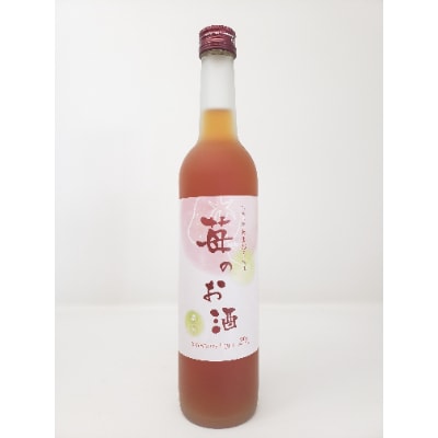 濃いめのお酒　飲み比べ500ml×2本セット(苺のお酒/梅のお酒)