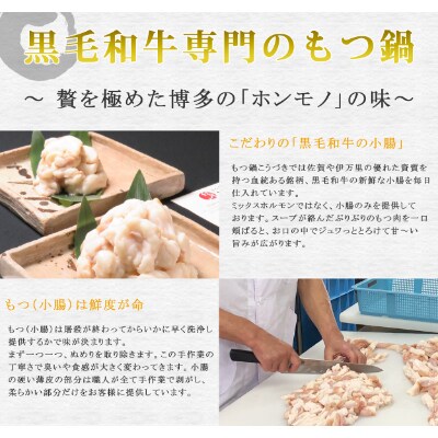 黒毛和牛専門　もつ鍋こうづき　もつ鍋セット　赤辛味噌味　2～3人前