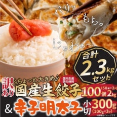 訳あり!ちょっと大きめ国産生餃子100個&辛子明太子小切り300g(朝倉市)
