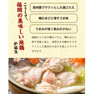 福岡限定!はかた地どり美人水炊き5種セット　2～3人前(朝倉市)