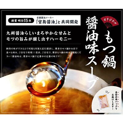 【毎月定期便】博多醤油もつ鍋　3～4人前セット(朝倉市)全3回