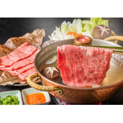 2023年9月発送開始『定期便』博多和牛A5しゃぶしゃぶ・すき焼き用【厳選部位】500g全6回