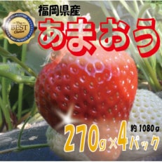 【冷蔵発送】今旬のいちご 朝倉産「あまおう」270g&times;4パック