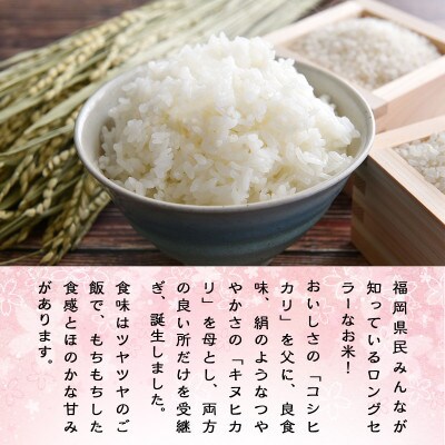 令和5年産　夢つくし12kg