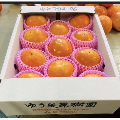 福岡県朝倉市産「志波柿(富有)]L～2Lサイズ　 約4kg(10～12個)