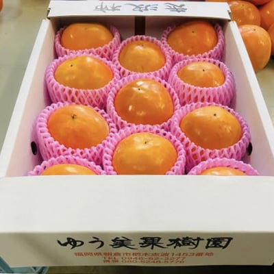 福岡県朝倉市産「志波柿(富有)] M～2Lサイズ　 約3kg(10～12個)