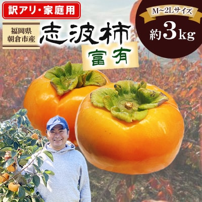 福岡県朝倉市産【訳アリ・家庭用】　志波の富有柿 家庭用 M～2Lサイズ　約3kg