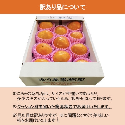 福岡県朝倉市産【訳アリ・家庭用】　志波の富有柿 家庭用 M～2Lサイズ　約3kg