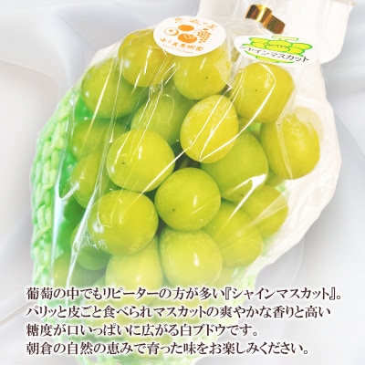 福岡県朝倉市産「シャインマスカット」2～3房 約1kg ゆう美果樹園
