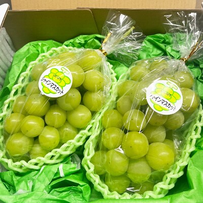 福岡県朝倉市産「シャインマスカット」2～3房 約1kg ゆう美果樹園