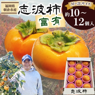福岡県朝倉市産「志波柿(富有)」  M～2Lサイズ×約10～12個入