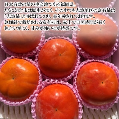 福岡県朝倉市産「志波柿(富有)」  M～2Lサイズ×約10～12個入