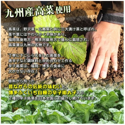 博多ふくいちのめんたい辛子高菜200g×2袋(朝倉市)