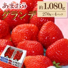 【2025年2月上旬発送】【あまおうグランデサイズ】5玉~15玉(4パック)【2月より順次発送】