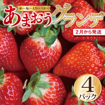 【2024年4月上旬発送】【あまおうグランデサイズ】5玉～15玉(4パック)【2月より発送】朝倉