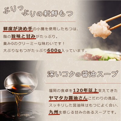 牛もつ鍋セット 濃縮醤油味 6人前(朝倉市)