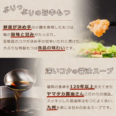 味付もつ鍋セット 濃縮醤油味 10人前(朝倉市)