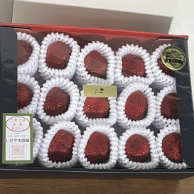 福岡県朝倉市産 あまおう 600g(15玉又は12玉)