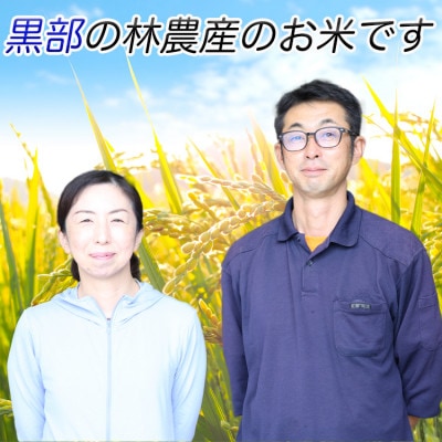 林農産　特別栽培米コシヒカリ　5Kg　精米【A-47】