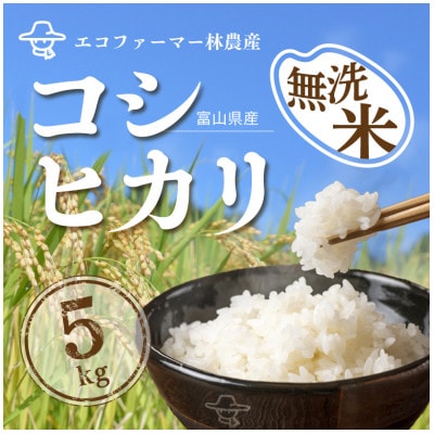 令和5年産コシヒカリ一等米5kg 無洗米