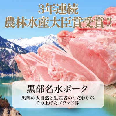黒部名水ポーク入り水餃子(10個入り×10袋)