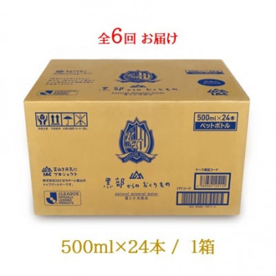 【毎月定期便】黒部からのおくりもの カターレ富山ラベル 500ml×24本 全6回