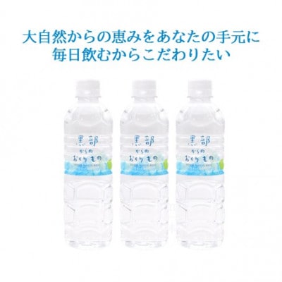 【毎月定期便】黒部からのおくりもの 500ml×24本 1ケース 雪解け天然水全12回