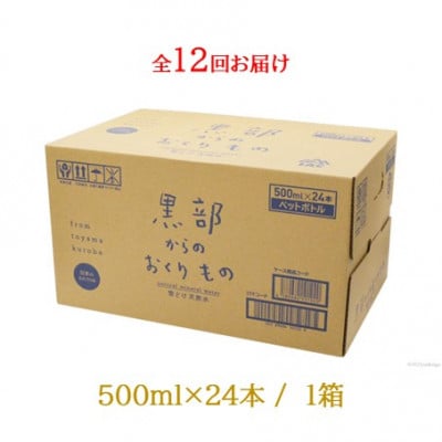 【毎月定期便】黒部からのおくりもの 500ml×24本 1ケース 雪解け天然水全12回
