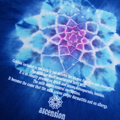 黒部の名水染め  藍染めタイダイTシャツ4  ASCENSION XSサイズ