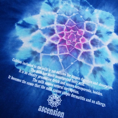 黒部の名水染め  藍染めタイダイTシャツ4  ASCENSION Mサイズ