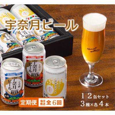 【毎月定期便】宇奈月ビール(3種×各4本)12缶セット全6回