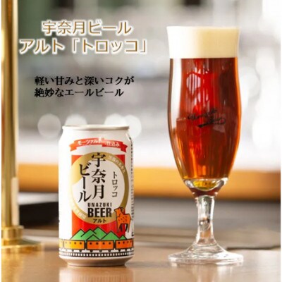 【毎月定期便】宇奈月ビール(3種×各4本)12缶セット全6回