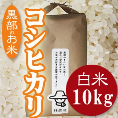 令和6年産コシヒカリ一等米10kg 無洗米