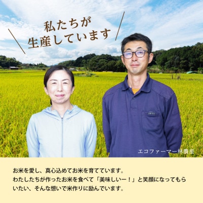 令和6年産コシヒカリ一等米10kg 無洗米