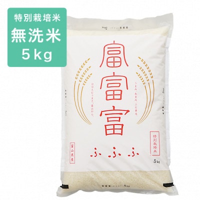 令和6年産 富富富 特別栽培米5kg 無洗米