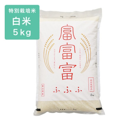 令和6年産 富富富 特別栽培米5kg 精米