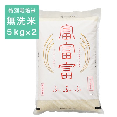 令和6年産 富富富 特別栽培米10kg(5kg×2) 無洗米