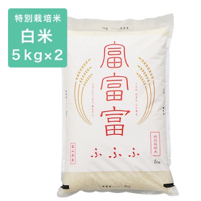令和6年産 富富富 特別栽培米10kg(5kg×2) 精米