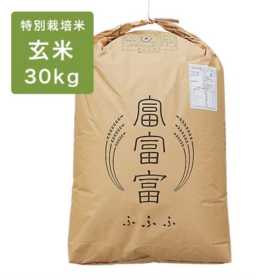 令和6年産 富富富 特別栽培米30kg 玄米