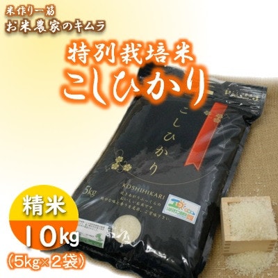 令和5年産】特別栽培米こしひかり(精米10kg) | 茨城県龍ケ崎市