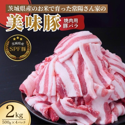 茨城県産のお米を食べて育った常陽さん家の美味豚(SPF豚)バラ肉 焼肉用 2kg