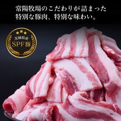 茨城県産のお米を食べて育った常陽さん家の美味豚(SPF豚)バラ肉 焼肉用 2kg
