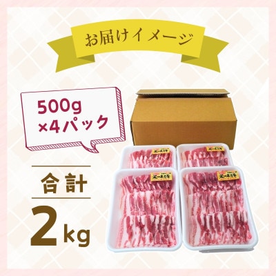 茨城県産のお米を食べて育った常陽さん家の美味豚(SPF豚)バラ肉 焼肉用 2kg