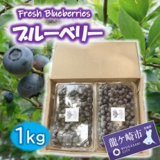 小さな森の奥にある農園の新鮮ブルーベリー1kg